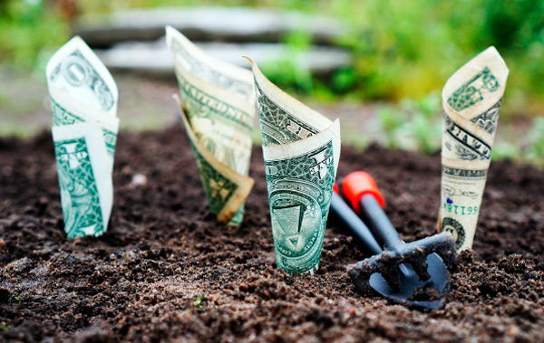 Servicios para empresas