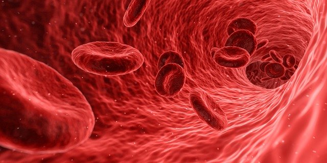 sangre menstrual