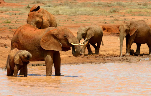 viajes experenciales